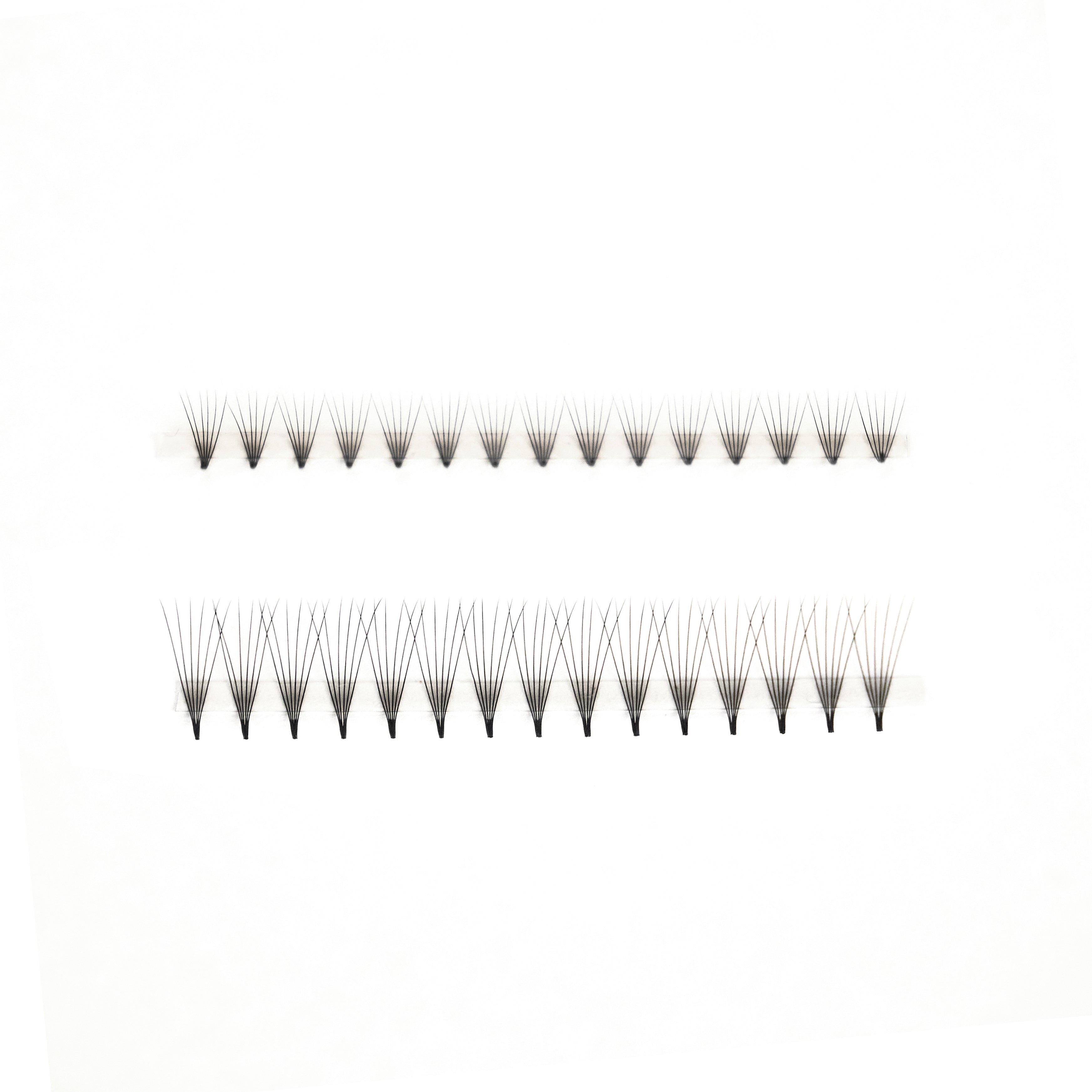 Pre-Made ♡ 6D Lash Fans